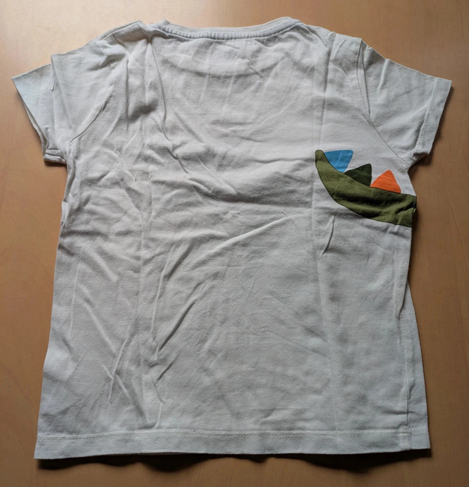 Camiseta dinossauro 6 anos NPO kid – photo 2